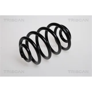 Triscan Feder hinten Renault Clio 2