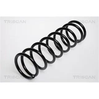 Triscan Feder hinten Ford Focus 1 875016007