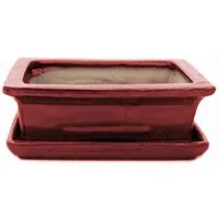 Exotenherz Pflanzschale Bonsai-Schale mit Unterteller Gr. 3 - Rot eckig - Modell G29 - L 18cm (1 St)