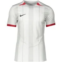 Nike Fußballtrikot Nike Performance Classic GX1 Trikot Teamsport