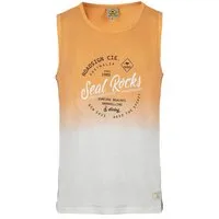 ROADSIGN australia T-Shirt Seal Rocks (1, 1-tlg., 1) Dip Dye Farbverlauf mit Print, lässiger Look für Festivals