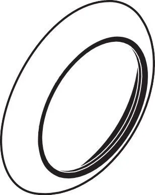 Hansgrohe Rosette Axor Carlton Duschkombi chrom , 96741000 96741000