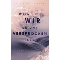 Weil wir es uns versprochen haben / Brittainy Cherry