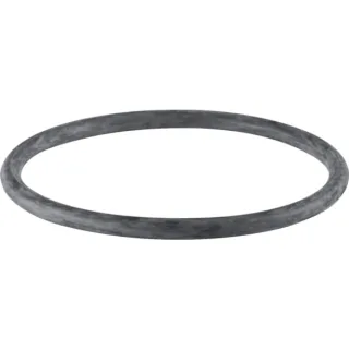 Geberit PE Rundschnurring di109x7 367789001