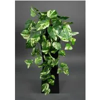 Kunstranke Photosranke grün-gelb PM Pflanzen Ranken Kunstrpflanzen künstlicher Photos, Seidenblumen Roß, Höhe 60 cm