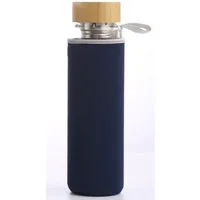 Penelife Isolierflasche Teeflasche mit Sieb to go 1l Trinkflasche mit Edelstahl Sieb, Borosilikatglas, 1 Liter Volumen
