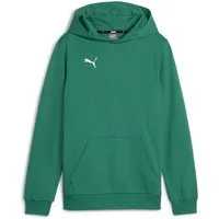 PUMA Hoodie teamGOAL Casuals Hoody Jr