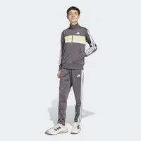 adidas Sportswear Trainingsanzug SEASONAL ESSENTIALS TIBERIO 3-STREIFEN TRICOT KIDS (2-tlg)
