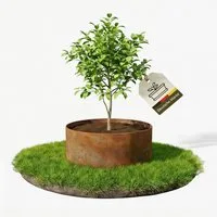 NovaTerra Rasenkante Pflanzenring 70cm Durchmesser aus Cortenstahl 0,8 mm Stärke, Schutz für junge Bäume in moderner Optik, Outdoor, Wetterbeständig