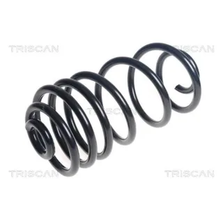 Triscan Feder hinten Citroen Jumpy Peugeot Expert 875028313