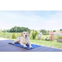 Kerbl Tierbett Kerbl Kühlmatte Cool-Relax 40x50 cm blau 80841