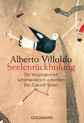 Seelenrückholung: Die Vergangenheit schamanistisch erkunden - Die Zukunft heilen [Taschenbuch] [2006] Villoldo Alberto Panster Andrea