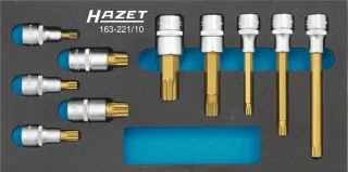 HAZET Schraubendreher-Steckschlüsseleinsatz Satz Einlage 10-teilig - 163-221/10