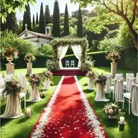 CHAKS Läufer Roter Teppich mit Samt Touch für Hochzeiten Geburtstage uvm.