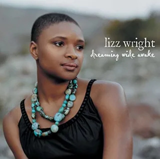 Dreaming Wide Awake [Audio-CD]