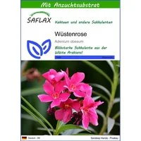 SAFLAX Blumensamen SAFLAX - Samen und Substrat - Wüstenrose