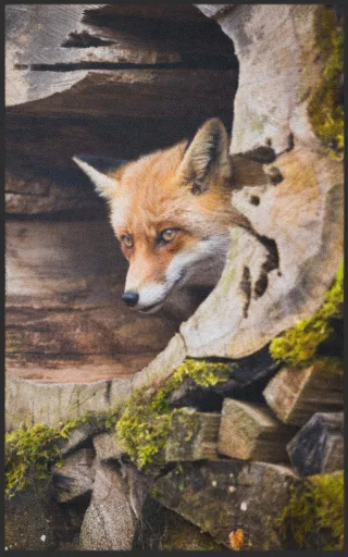 Fussmatte Fuchs 7755 | Größe: 60 cm x 90 cm