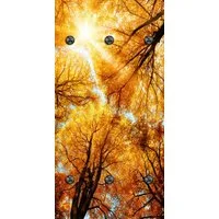 queence Wandgarderobe Herbst Sonnenaufgang im Wald (1 St), Wandpaneel aus Acrylglas inkl. 6 Edelstahlhaken in schwarz matt