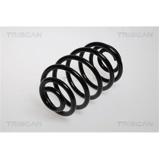 Triscan Feder hinten Opel Astra G 875024045
