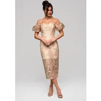 OMBRE Abendkleid Schulterfreies Midikleid mit floraler Spitze
