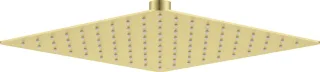 Neuesbad Serie 310 Quadratisch Kopfbrause, Edelstahl, 250x250, Gold Gebürstet NB1DENACR02K1