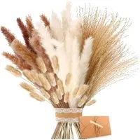 Trockenblume für Hochzeits-Boho-Blumen und Tischdekoration zu Hause, Agger