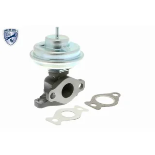 Ackoja AGR-Ventil + Dichtung Hyundai Getz Tucson Kia Sportage