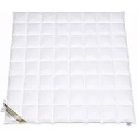 Betten Hofmann 4-Jahreszeitenbett Betten Hofmann Franken Ganzjahres-Daunendecke 8x8 240x220 cm 1280 g, Füllung: 100% Gänsedaunen, Bezug: 100% Baumwolle, Ganzjahresdecke im Kuschelmaß, hergestellt in Deutschland