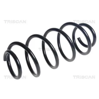 Triscan Feder hinten Renault Kangoo 875025156