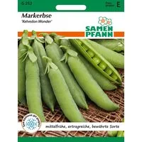 SAMEN PFANN Gemüsesamen Markerbse, Wunder von Kelvedon - Saatgut Samen, Pisum sativum