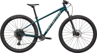 Specialized Rockhopper Expert MTB-Hardtail Diamant 29" Gloss Emerald Metallic/Shadow Silver L | Dienstrad-Leasing möglich