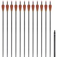 vidaXL Dartscheibe Recurvebogen-Pfeile 30" 0,76 cm Carbon 12 Stk.
