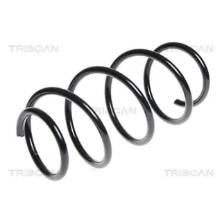 Triscan Feder vorne Ford KA 1,2