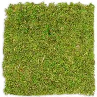 NaDeco Bastelnaturmaterial Moosplatte, Quadratisch, Größe ca. 38 x 38cm Moosbild selber machen