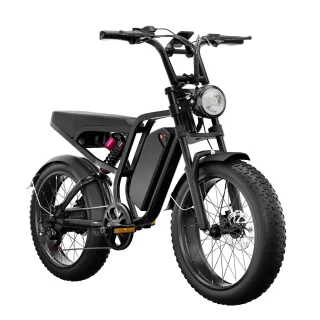 [EU DIRECT] Bluvall Su8 Electric Bike 52V 20Ah Battery 1000W Motor Peak Power 1200W Recommended Top Speed 25KM/H 20x4 In