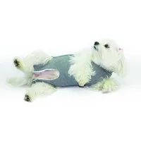 Fashion Dog OP-Body Cura Pets OP- und Wundschutz-Body für Hunde und Katzen