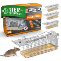 Werktal Lebendfalle für Mäuse [4er-Set] - Hochsensitiv und tierfreundliche Lebendfalle, einfache Köderfixierung, hygienisch und wiederverwendbar