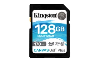 Kingston Canvas Go! Plus | sdg3/128gb | Flash-Speicherkarte