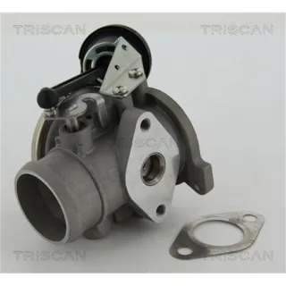 Triscan AGR-Ventil Audi A2 Seat Arosa VW Lupo Polo 1,4