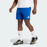 adidas Performance Shorts ENTRADA26 SHORTS (1-tlg)