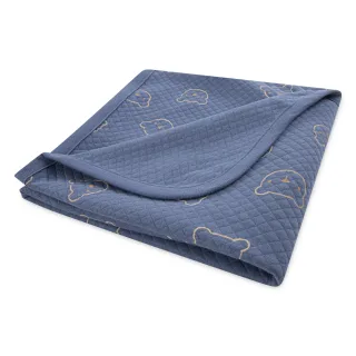 HUGGIES babywear Babydecke "HGHB QUILTED RECEIVING BLANKET" mit Teddy-Motiv, leicht gesteppt