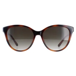 Salvatore Ferragamo Cat Eye Damen Schildpatt Grau Gradient SF1073S