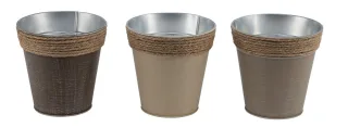 Braun