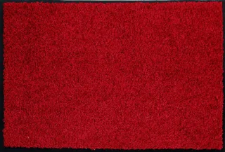 Rot