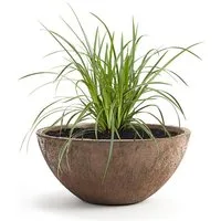 Pflanzwerk® Pflanzschale Pflanzkübel BOWL Frostbeständige Premium Blumenschale mit Lotus-Effekt, Fiberglas - Handgefertigt - Rund - Frostbeständig
