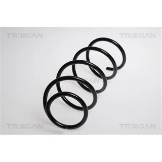 Triscan Feder vorne BMW 1er E81 3er E90 87501180