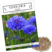 HappySeed Blumensamen Kornblumen Samen (Centaurea cyanus) - Blau, 1000 Korn, 80 cm, Bienenfreundlich