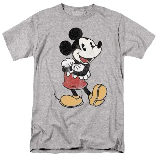 Disney - T-Shirt für Herren (Sport Heide)