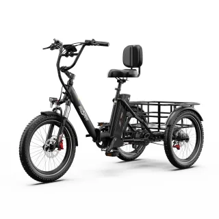 [EU Direct] Onesport OT03 PRO Electric Tricycle Cargo APP Control 48V 18Ah Battery 500W Motor Top Speed 25KM/H 20*3inch