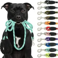 Reichstadt Hundeleine RS Pets Führleine Nylon 25RSP084, Nylon, Ergonomischer EVA-gepolsterter Griff für Blasenschutz